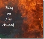 Blog On Fire Award